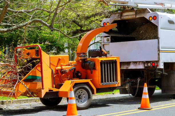 Best Tree Mulching  in Rockledge, FL